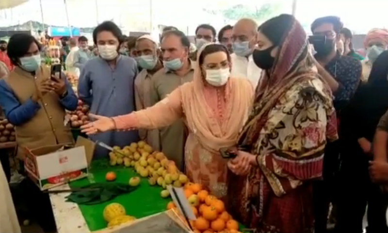 Special Assistant to Chief Minister Dr Firdous Ashiq Awan is seen scolding AC Sonia Sadaf at a stall for ‘poor quality of fruit’. — DawnNewsTV Screengrab