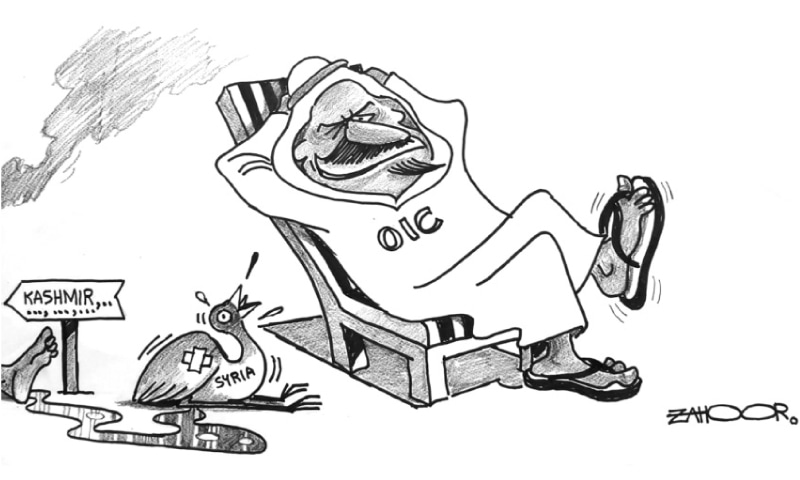Zahoor's Cartoon