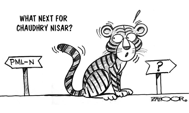 Zahoor's Cartoon