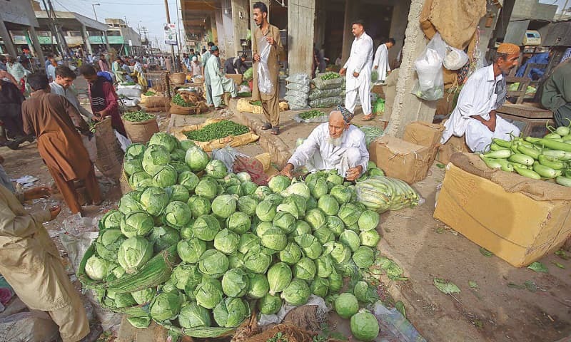 In this file photo,  vendor arranges cabbages at a vegetable market in Karachi. Over the past week, the prices of vegetables and other perishable items have dropped.  &mdash; INP/File