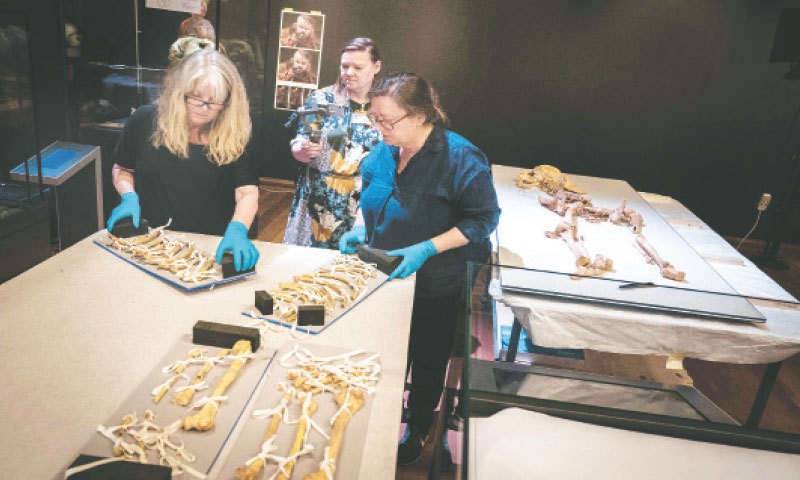 EMPLOYEES from a museum in Denmark unpack the skeleton of a man found in a mass grave in Oxford, England.—AFP