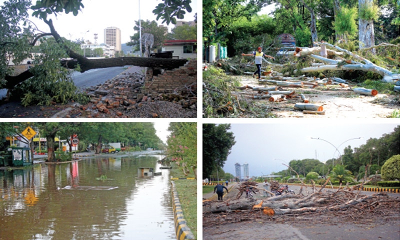 Clockwise from top (L) Thunderstorm and strong winds uprooted several trees in Islamabad early Sunday morning. This combo shows a tree having damaged the boundary wall of a house in G-6, boys playing near logs chopped down by the CDA from damaged trees in F-6, a man collects branches from trees that fell on Constitution Avenue while rainwater stands on School Road in F-6. &mdash; Photos by Mohammad Asim