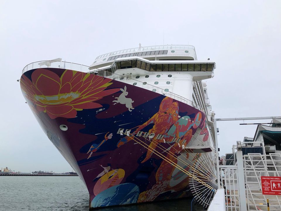 A cruise ship is docked at harbour after turning back due to a positive coronavirus case on board, in Singapore, July 14. — Reuters
