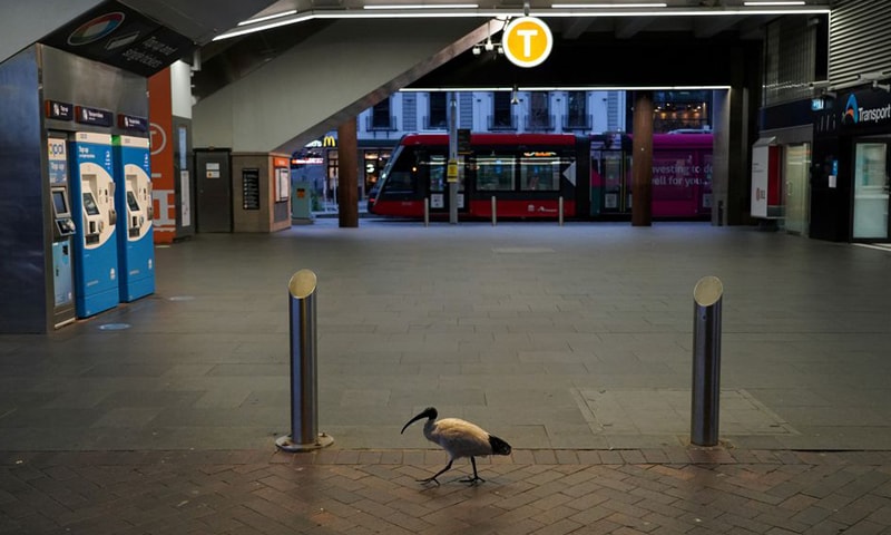 A lone bird walks past the quiet Circular Quay train station during a lockdown to curb the spread of a Covid-19 outbreak in Sydney, Australia. — Reuters