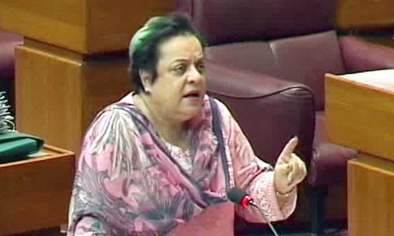 Federal Minister for Human Rights Dr Shireen Mazari said the government had recently passed a law against rape cases, but only laws would not work because there was a need to change the mindset of society about women. — DawnNewsTV