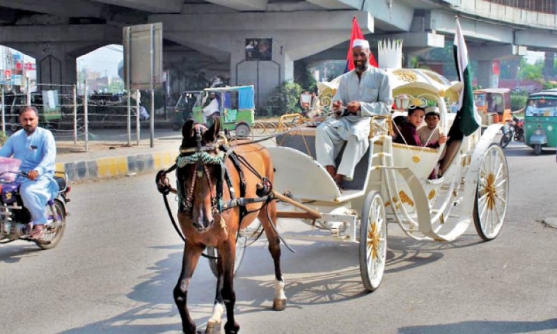 Children of martyred police personnel enjoy a ride in a buggy as the City Traffic Police organised an event in Peshawar on Tuesday in connection with the martyrs day. — White Star