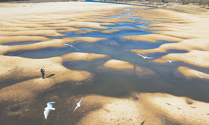 BIRDS fly over a man taking pictures of the exposed riverbed of a tributary of the Parana River amid a drought.&mdash;AP