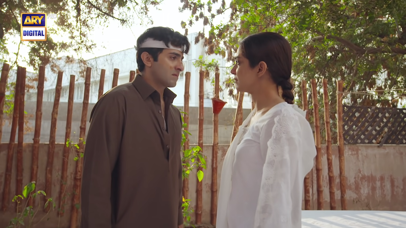 Sheheryar Munawar and Maya Ali