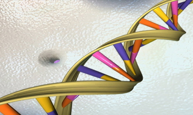 “DNA can be extracted from the cells of a variety of body fluids and tissues," the judge notes in the detailed verdict. — Reuters/File “DNA can be extracted from the cells of a variety of body fluids and tissues," the judge notes in the detailed verdict. — Reuters/File