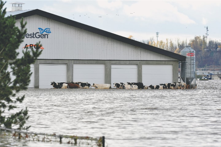 Airforce to evacuate people marooned by floods in Canada - World - DAWN.COM