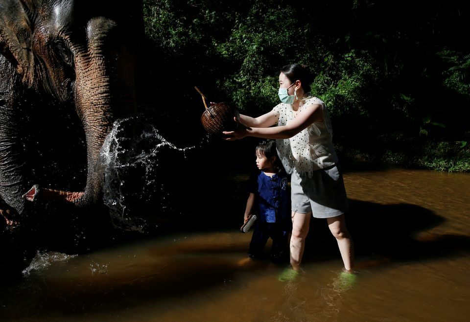 A family plays with an elephant at popular tourist destination Mae Sa Elephant Camp in Chiang Mai, Thailand, November 20. &mdash; Reuters
