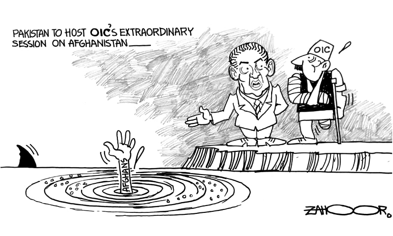 Zahoor's Cartoon