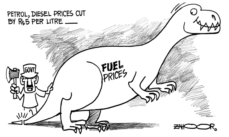 Zahoor's Cartoon