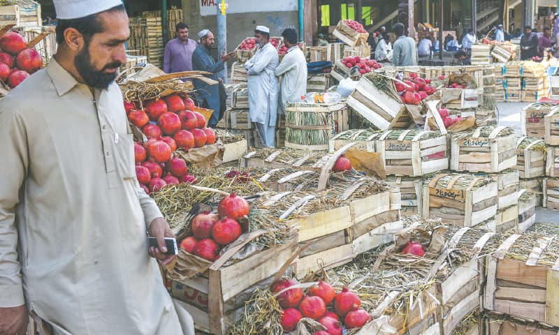 Wholesalers examine their merchandise that came from up-country at Subzi Mandi on Superhighway.—Fahim Siddiqi / White Star