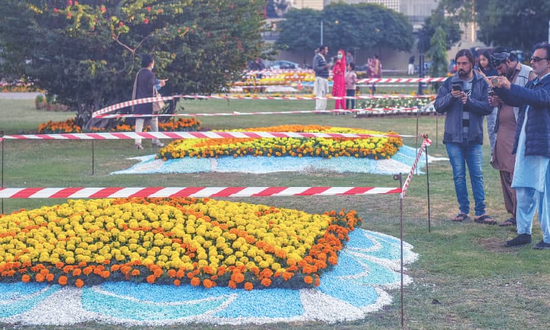 Visitors take photos of marigolds displayed at Frere Hall.—Fahim Siddiqi / White Star