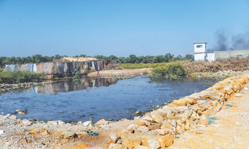 Mangroves have been removed from a large area to build concrete structures and a cluster of huts in Machhar Colony. Many such structures can be seen along the city’s coastline. —Fahim Siddiqi / White Star