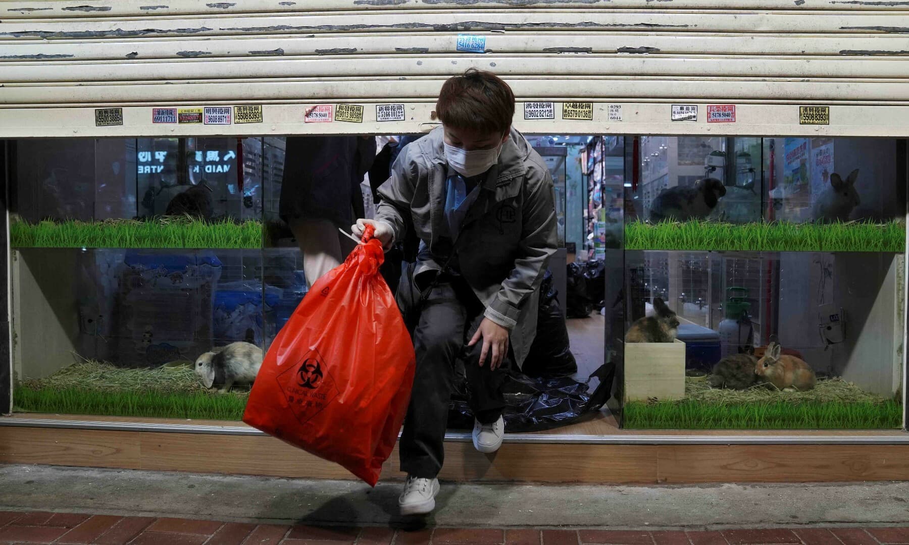 A centre of health protection officer holding a clinical waste bag leaves a closed pet shop in Mong Kok district after a hamster cull was ordered to curb the coronavirus outbreak, in Hong Kong, on January 19. — Reuters