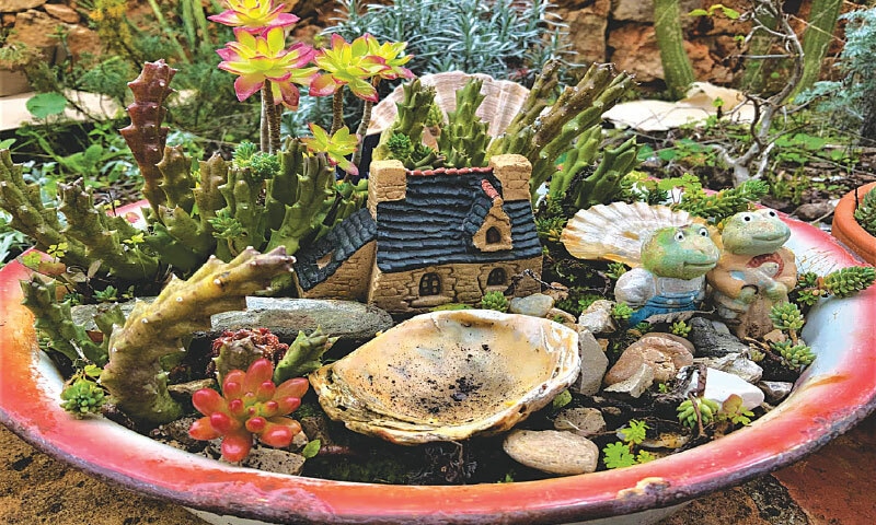 Miniature worlds unleash your imagination and creativity  | Photos by the writer
