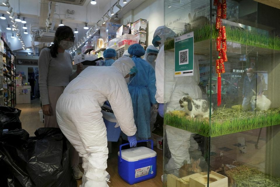 Officers in protective suits work inside a closed pet shop in Mong Kok district after a hamster cull was ordered to curb the coronavirus outbreak, in Hong Kong, China, January 19. — Reuters