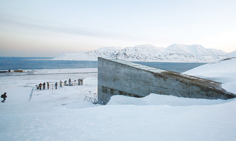 A FEB 26, 2008, file photo shows television crews outside the Global Seed Vault before the opening ceremony.—Reutres A FEB 26, 2008, file photo shows television crews outside the Global Seed Vault before the opening ceremony.—Reutres