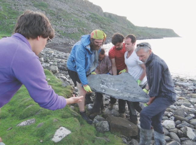 RESEARCHERS carry part of the fossil of a newly identified Jurassic Period flying reptile, or pterosaur, found on a rocky beach in Scotland.&mdash;Reuters
