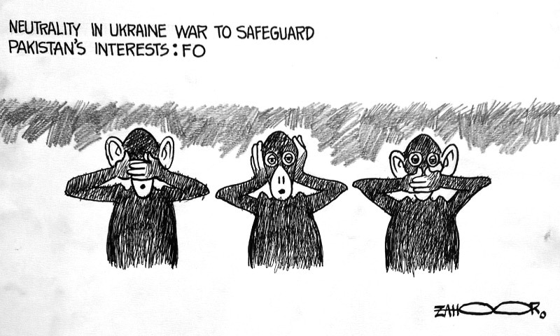 Zahoor's Cartoon