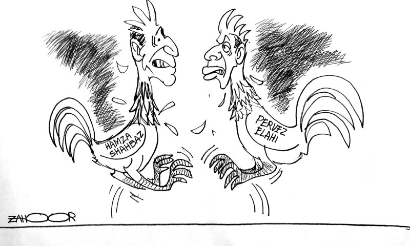Zahoor's Cartoon