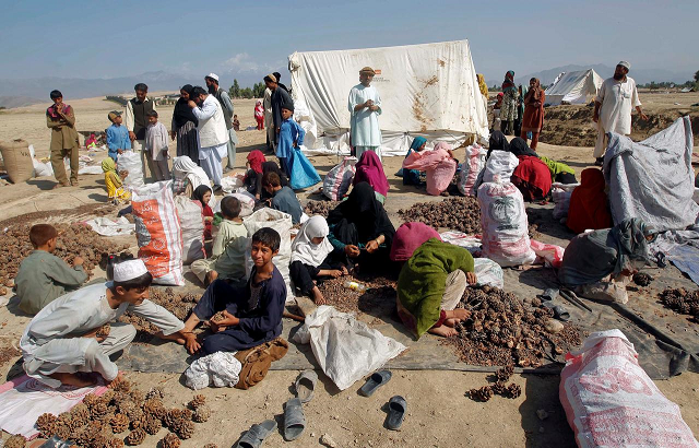 Civilians Flee Fighting In Panjshir Valley World DAWN COM