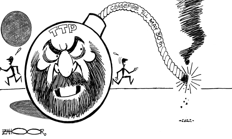 Zahoor's Cartoon