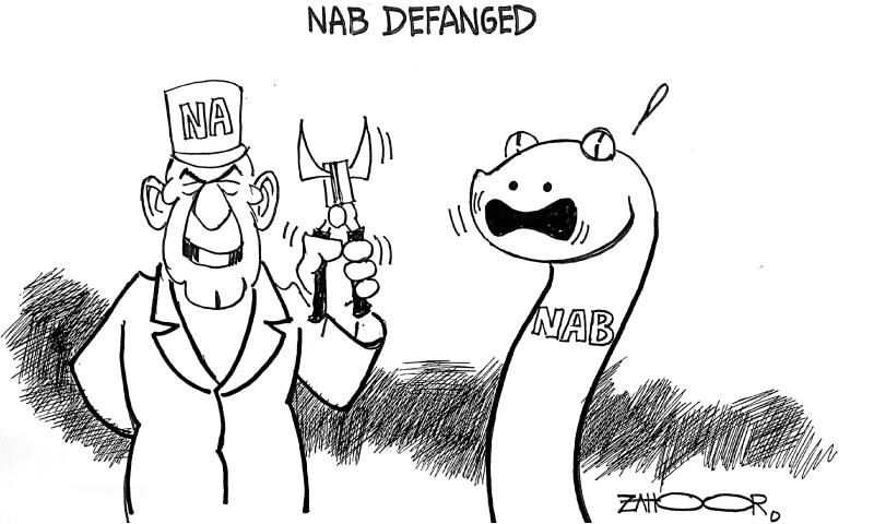 Zahoor's Cartoon
