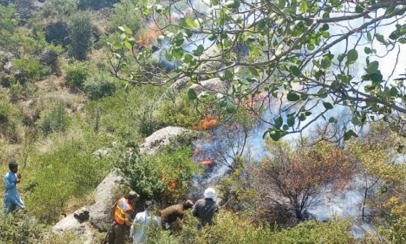 Rescue teams busy in extinguishing fire at Sangota, Swat, on Friday. — Dawn