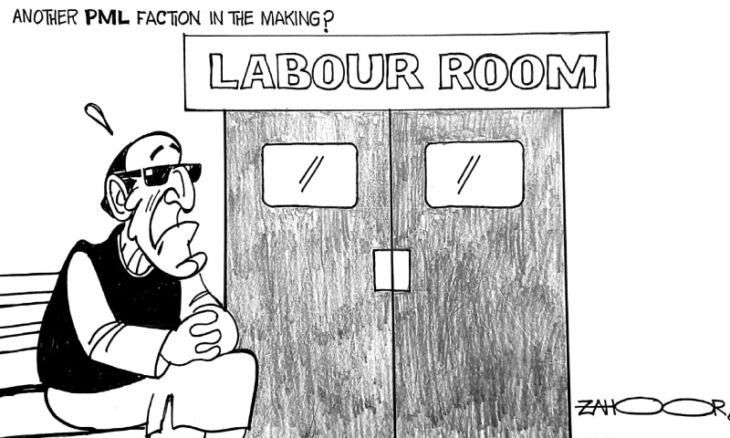 Zahoor's Cartoon