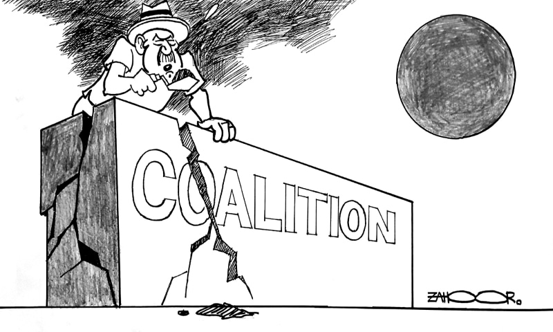 Zahoor's Cartoon
