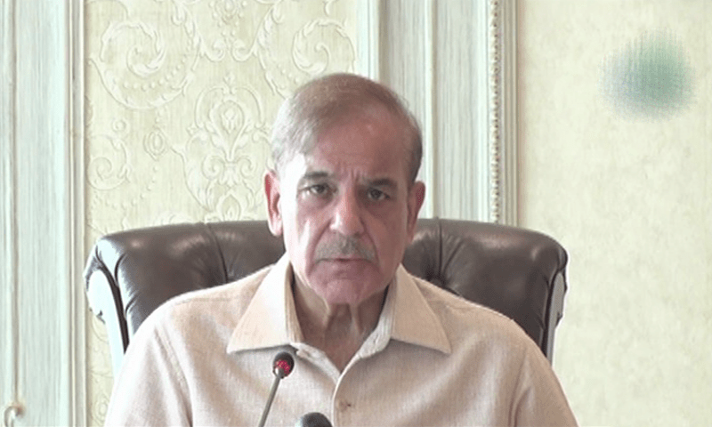 Prime Minister Shehbaz Sharif addresses the federal cabinet on April 20, 2022.—DawnNewsTV