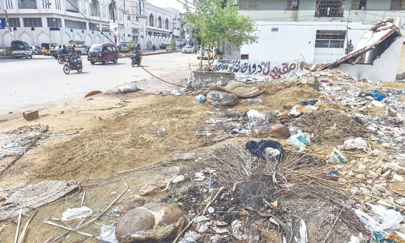 شہر کے ہر علاقے میں اس گندگی اور آلائشوں سے پیدا ہونے والے تعفن سے بیماریاں پھیلنے کا خدشہ پیدا ہوگیا ہے  &mdash; فوٹو: وائٹ اسٹار