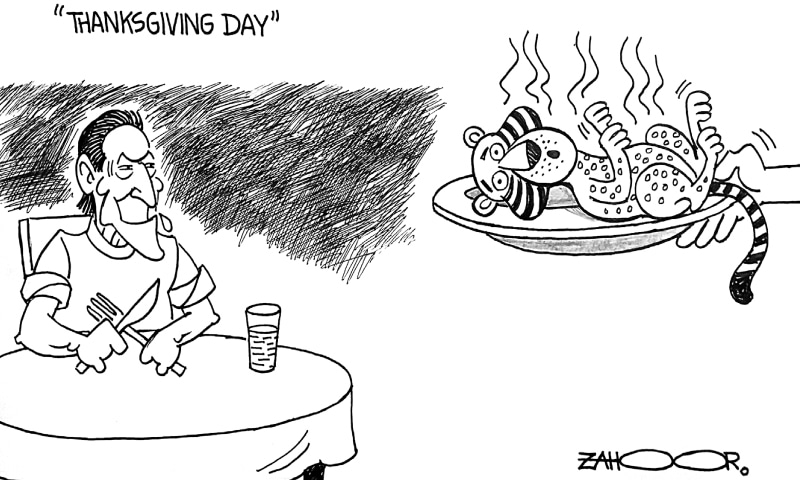 Zahoor's Cartoon