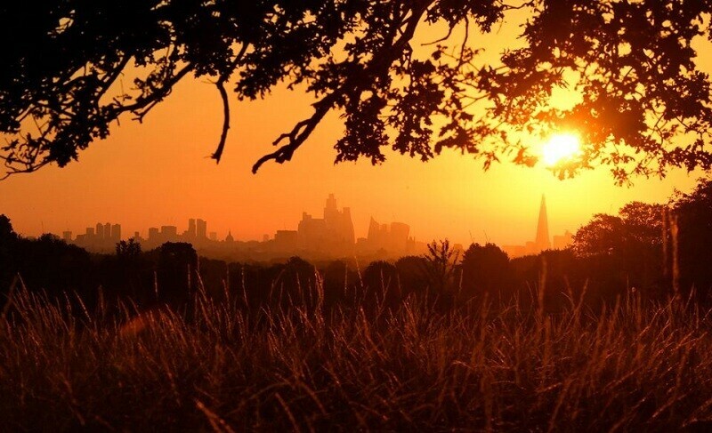The sun rises above the London skyline, as a second heatwave is predicted for parts of the country, in London, on Thursday (Aug 11). &mdash; Reuters