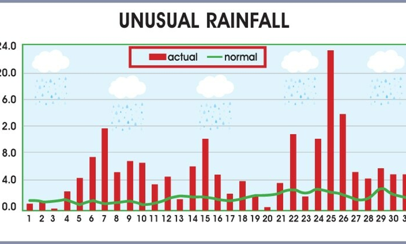 ملک بھر میں گزشتہ ماہ ہونے والی بارش اوسط سے تقریباً 181 فیصد زیادہ ریکارڈ کی گئی— السٹریشن : ضیاالدین ملک بھر میں گزشتہ ماہ ہونے والی بارش اوسط سے تقریباً 181 فیصد زیادہ ریکارڈ کی گئی— السٹریشن : ضیاالدین