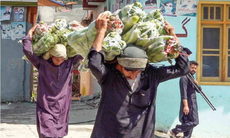 Farmers from Kalam and other areas carry vegetables on their backs to Bahrain Bazaar. &mdash; Dawn