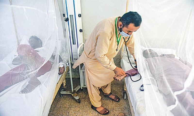 A member of paramedical staff takes the blood pressure of a patient admitted to a dengue ward set up in the Sindh Services Hospital on M.A. Jinnah Road on Saturday. —Fahim Siddiqi / White Star