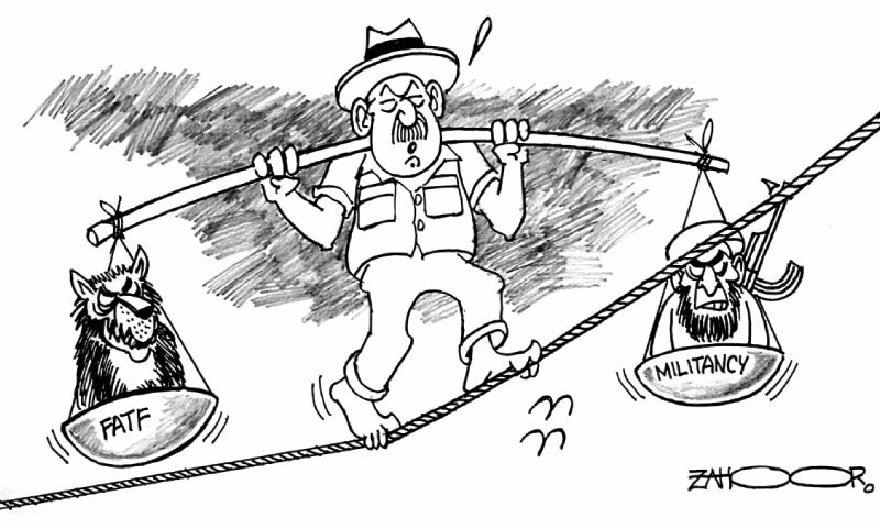 Zahoor's Cartoon