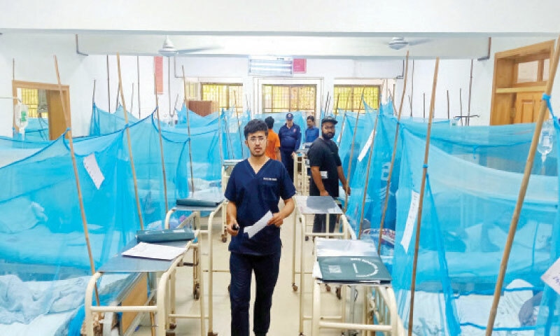 Doctors attend to dengue patients admitted to District Headquarters Hospital in Rawalpindi on Sunday. — Online