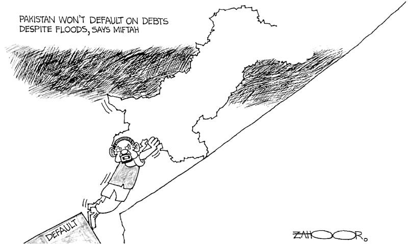 Zahoor's Cartoon