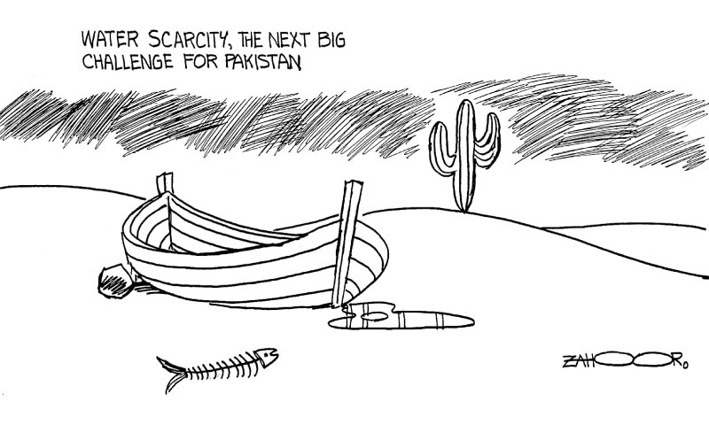 Zahoor's Cartoon
