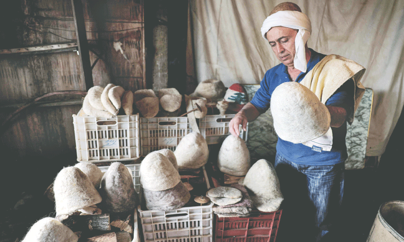 Hatmaker Youssef Akiki inspects some of his traditional ‘Labbadeh’ hats at his workshop in the mountain village of Hrajel.—AFP Hatmaker Youssef Akiki inspects some of his traditional ‘Labbadeh’ hats at his workshop in the mountain village of Hrajel.—AFP