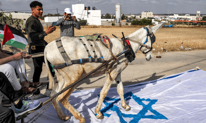A donkey tied to a cart is led to walk on a make-shift Israeli flag placed by Palestinian protesters during a &lsquo;flag march&rsquo; demonstration along the border with Israel east of Gaza city on May 18, 2023 in response to the annual Israeli flag march marking &lsquo;Jerusalem Day&rsquo; commemorating the old city&rsquo;s capture by Israel. &mdash; AFP