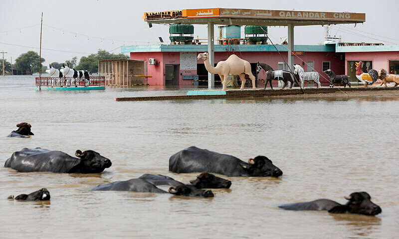 الرٹ کے مطابق کچھ علاقوں میں موسلادھار بارش اور ژالہ باری کا امکان ہے&mdash;فائل فوٹو: رائٹرز