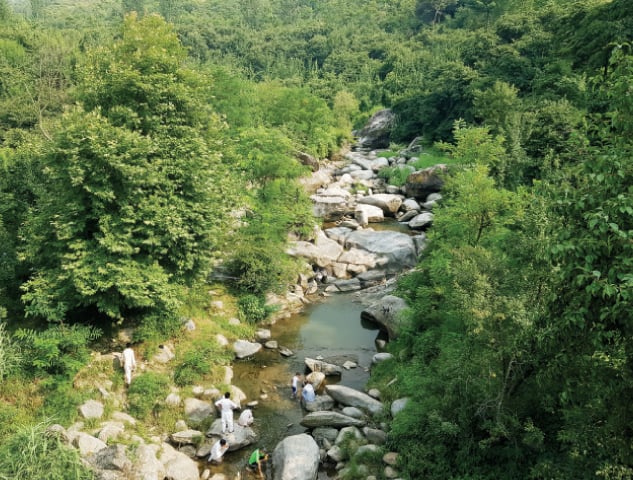 A stream snakes through the lush green Taghwan valley of Mingora. &mdash; Dawn