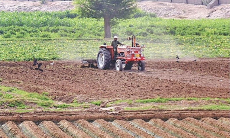 The outstanding portfolio of agriculture credit grew 10pc to Rs760bn by the end of June compared to Rs691bn a year ago, data showed on Wednesday. — APP The outstanding portfolio of agriculture credit grew 10pc to Rs760bn by the end of June compared to Rs691bn a year ago, data showed on Wednesday. — APP