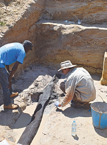 archaeologists at work in Zambia&rsquo;s Kalambo Falls.&mdash;AFP
